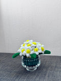Small Potted Daisy