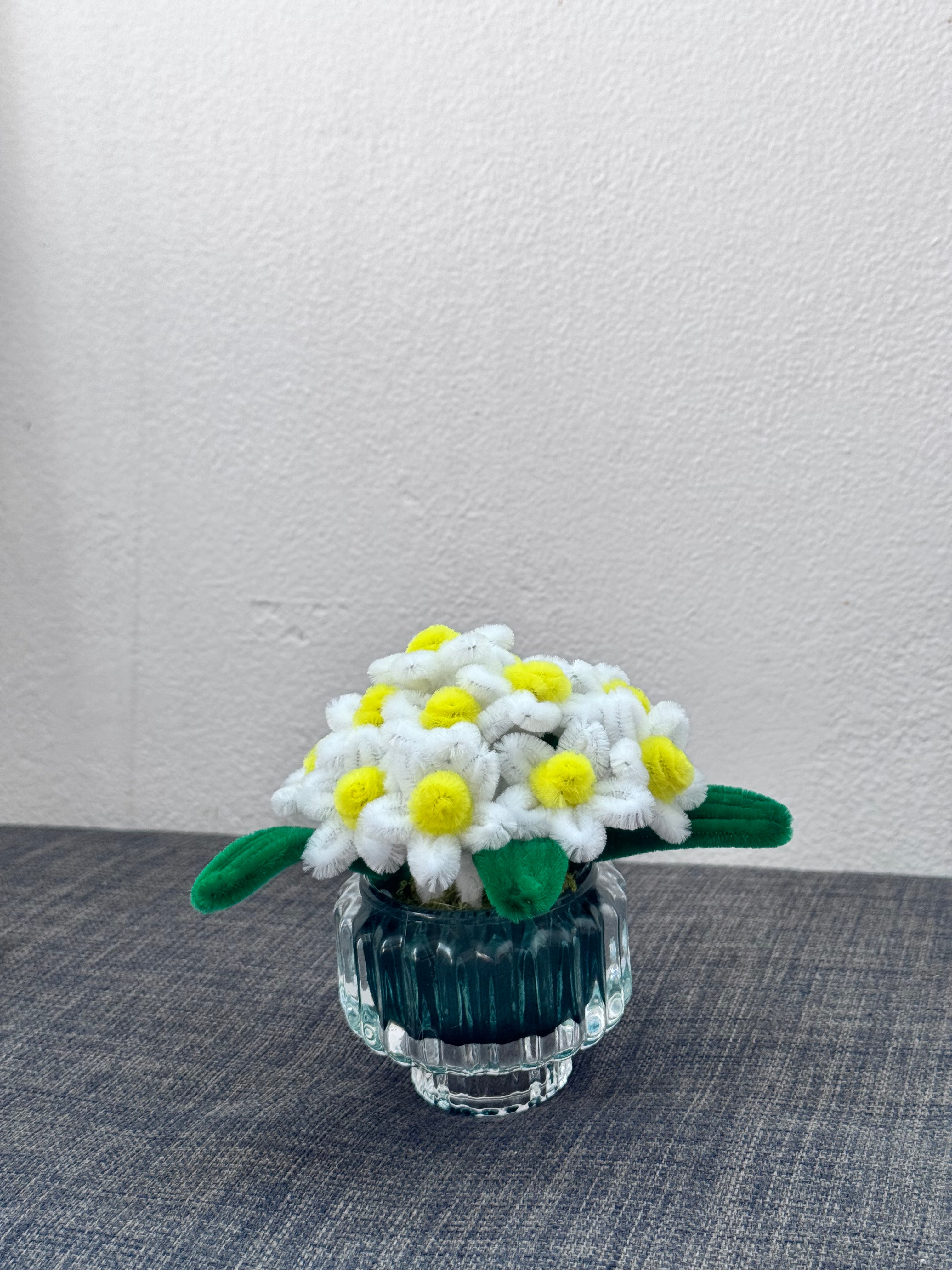 Small Potted Daisy
