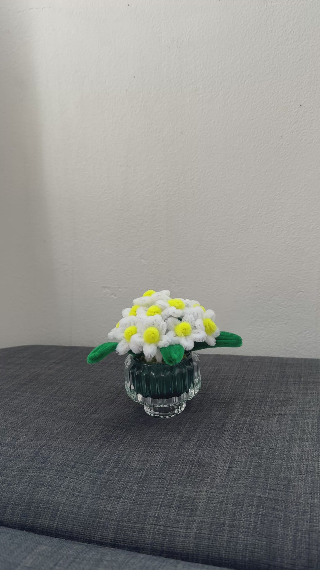 Small Potted Daisy