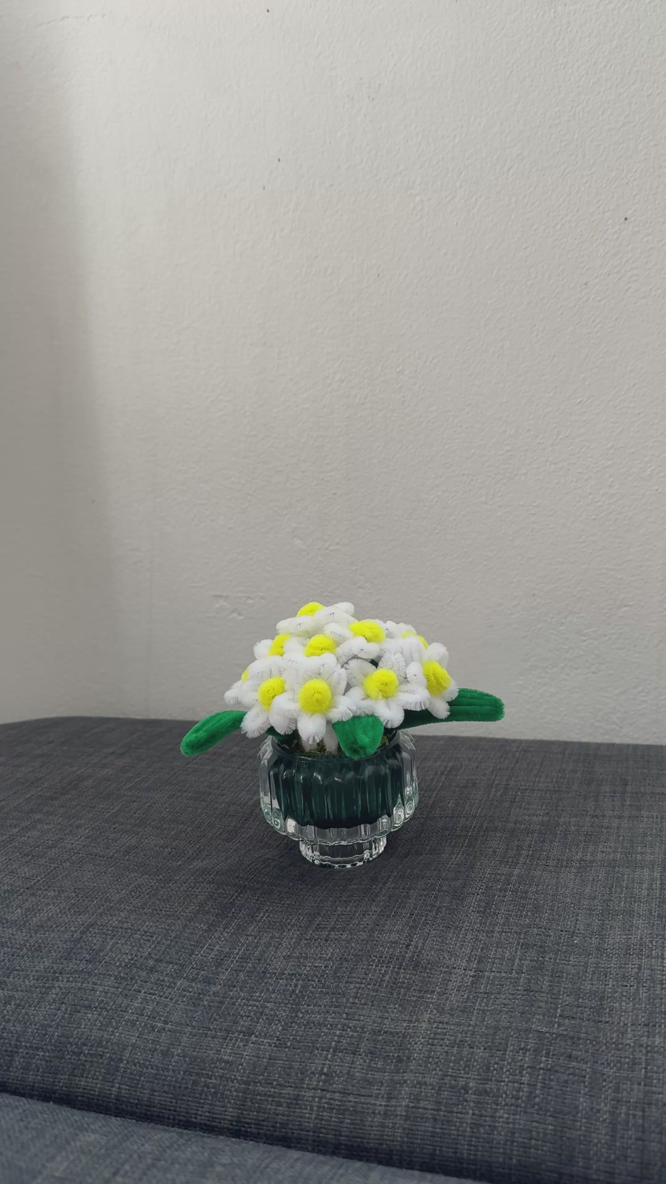 Small Potted Daisy